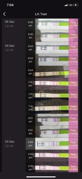 Opk tests possible ovulation