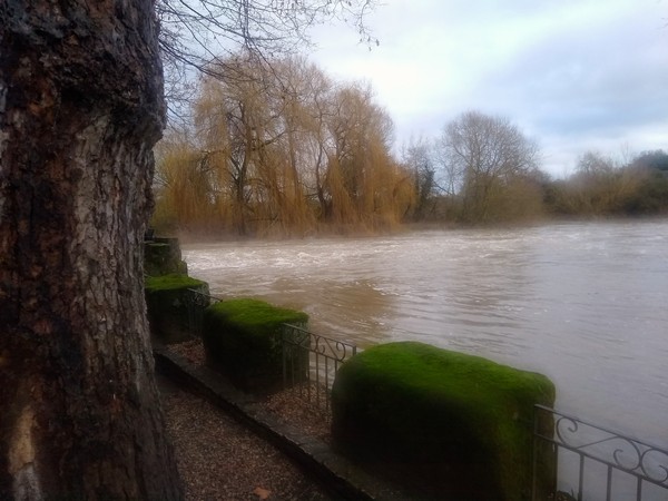 Any Witches Here? Part 16