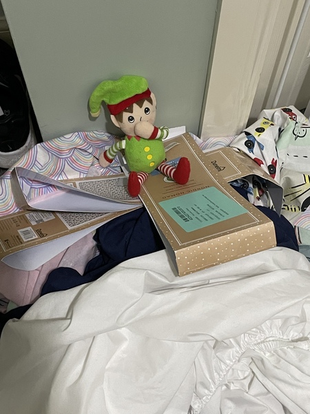 Thread 28 - the one with the amarillo bulb and winter cheery plants