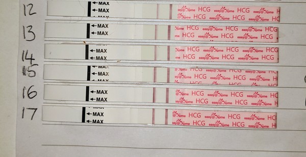 Easy@home line progression
