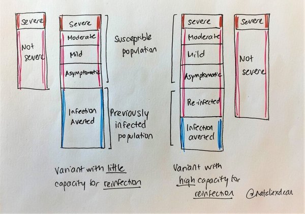 Good news re Omicron