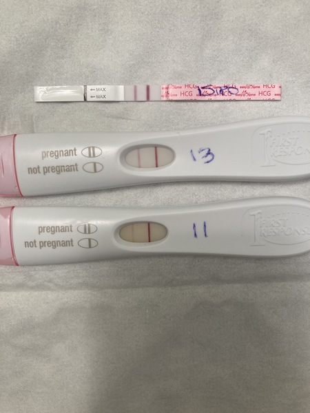 Due September 2022