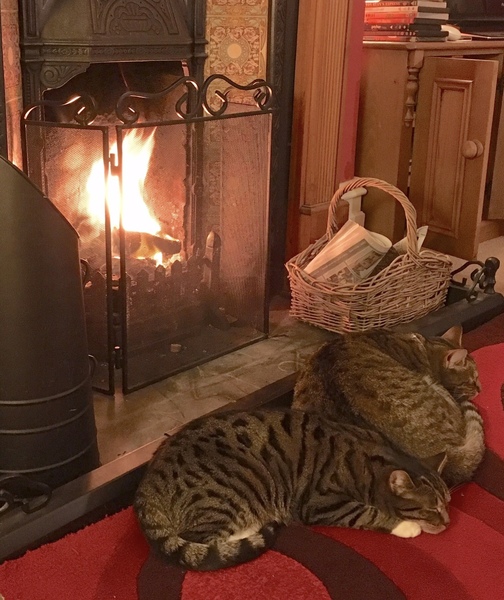 Can we please see pictures of your fireplaces and log burners ?
