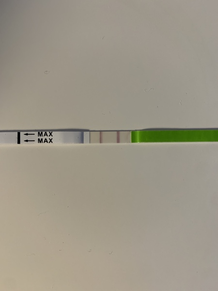 Second opinion on LH test