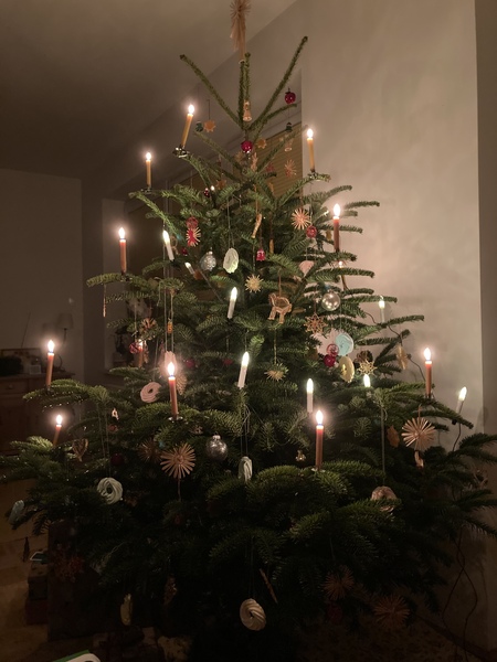 Do we have a show us your tree thread yet?