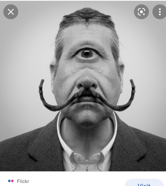 Would you rather have two eyes or one large one?