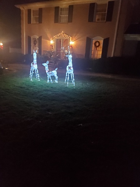 Show Us Your Pictures: 5 Alive