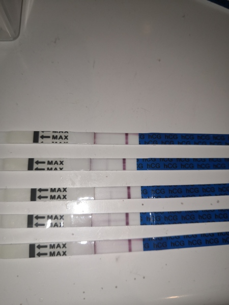 Is this an early positive or evap?