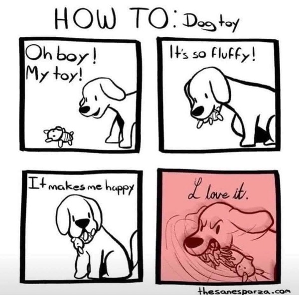 Puppy survival thread. Nov. Read this and buy a hamster instead
