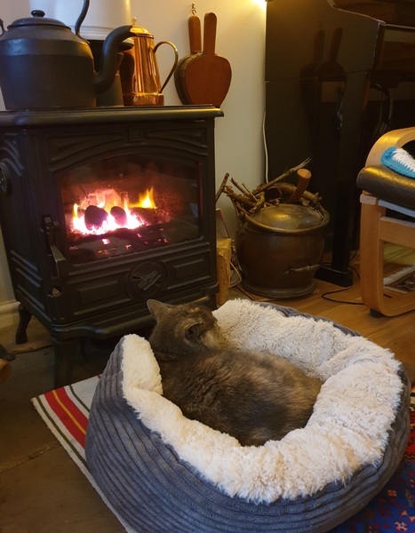 Can we please see pictures of your fireplaces and log burners ?
