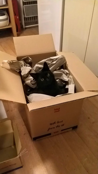 Brexit mega thread part 4 : non goady thread : Christmas edition