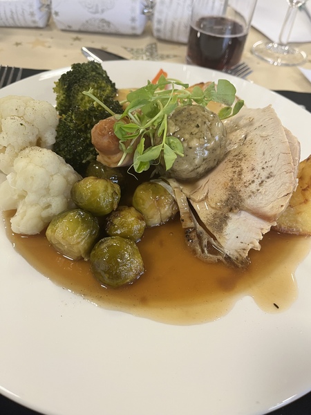 No gravy with Christmas dinner 😱 AIBU?! (Lighthearted!)