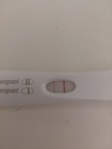 IVF October/November 2021