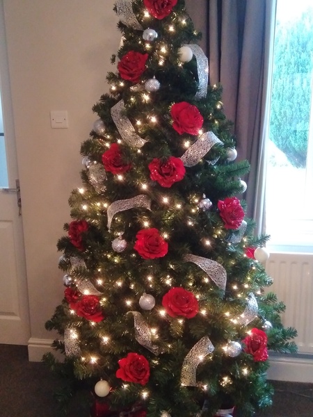 Do we have a show us your tree thread yet?