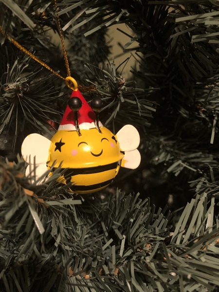 Fledglings Flying into the Festive Season