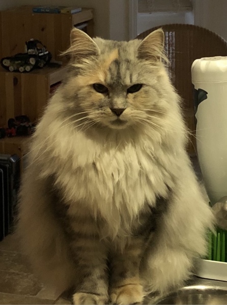 WHY IS SHE STARING AT ME???