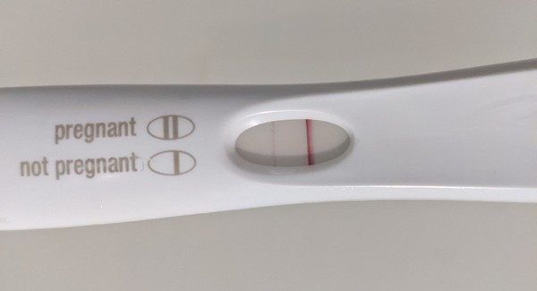 FET November/ December