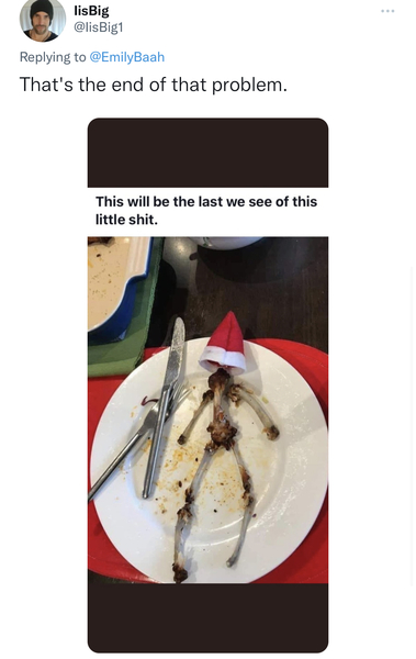 I don’t understand the elf.