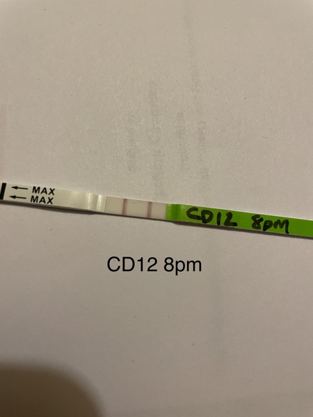 OPK pos?