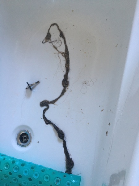 Hair in the plughole