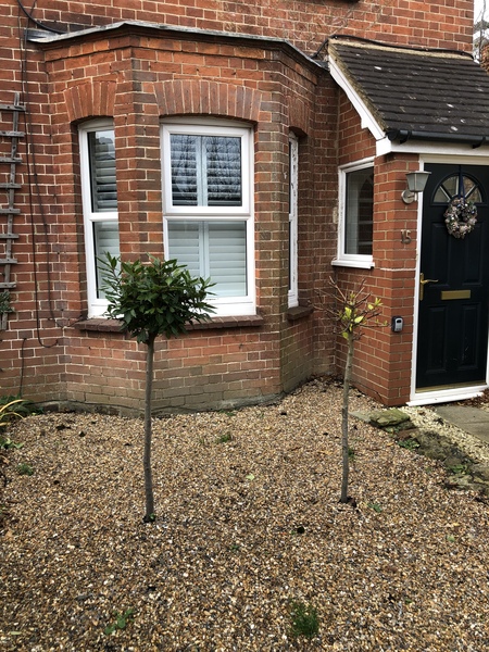 Help me up my kerb appeal! (Pic)