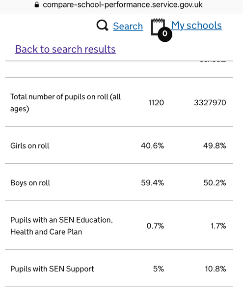 Support for Dyslexia/Dyscalculia at secondary school - Help!