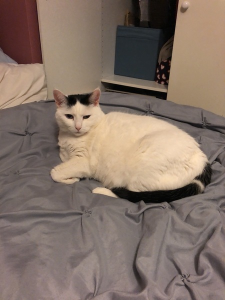 WHY IS SHE STARING AT ME???