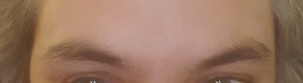 How would you sort these eyebrows??