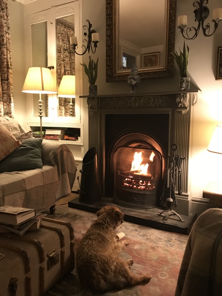 Can we please see pictures of your fireplaces and log burners ?