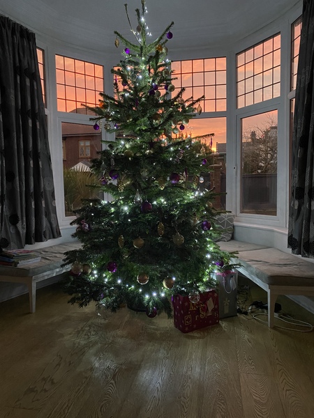 Do we have a show us your tree thread yet?