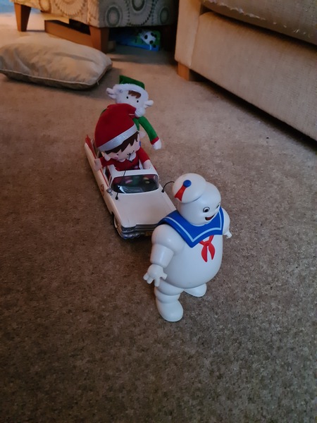 What to do the Elf tonight?