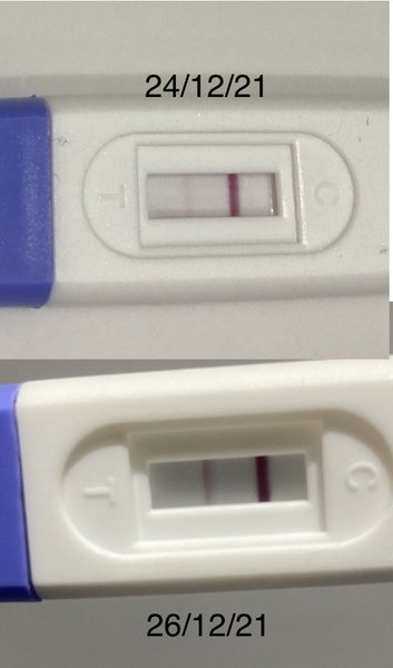 Line eyes 11DPO