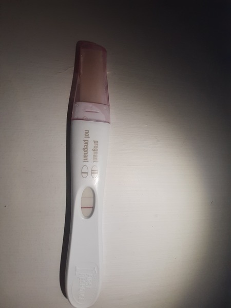 FET November/ December