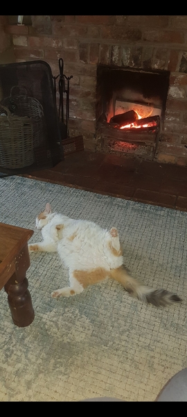 Can we please see pictures of your fireplaces and log burners ?