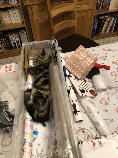 Anyone else want to help with the Christmas Wrapping?