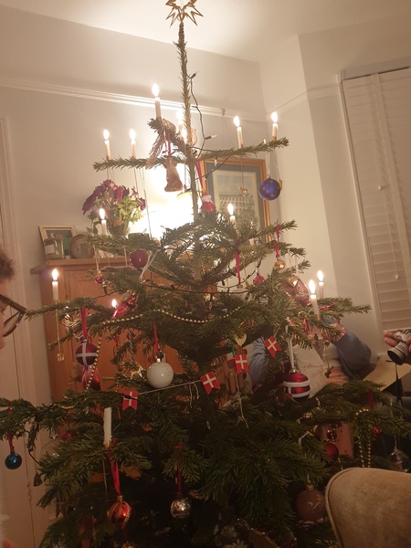 Do we have a show us your tree thread yet?