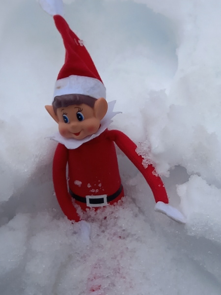 Tears on Christmas Eve over Elf leaving