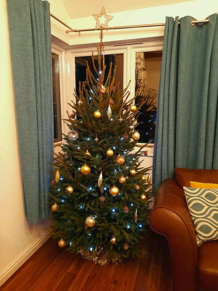 Do we have a show us your tree thread yet?