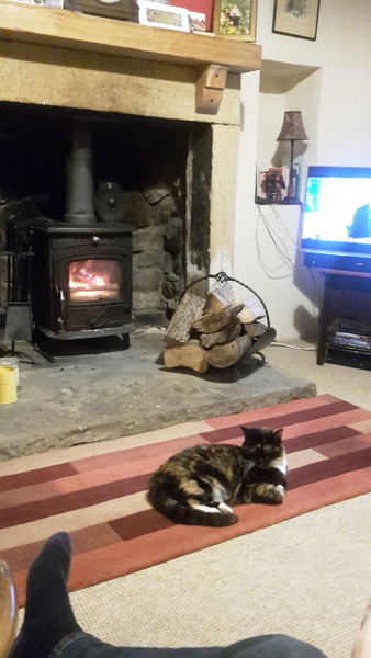 Can we please see pictures of your fireplaces and log burners ?