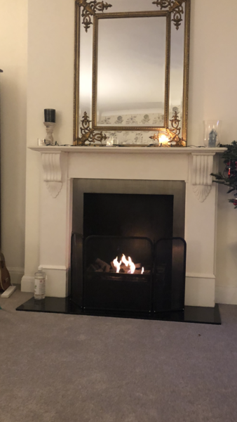 Bioethonel fires or stove recommendation?