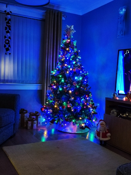 Do we have a show us your tree thread yet?