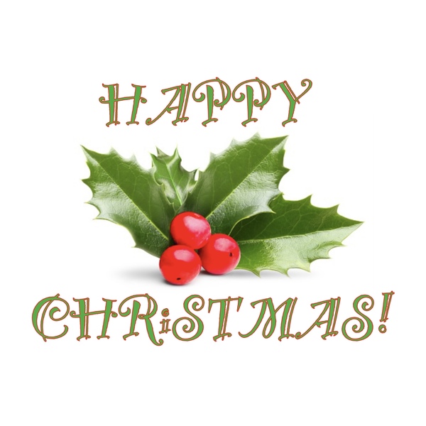 🎄 A Christmas Puzzle 🎄
