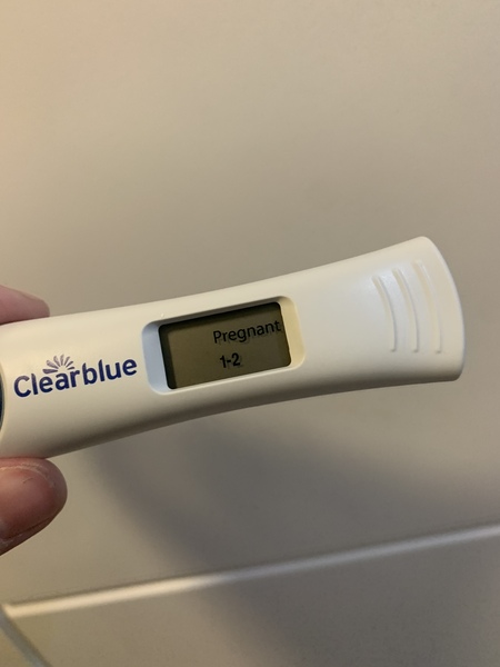 Early pregnancy