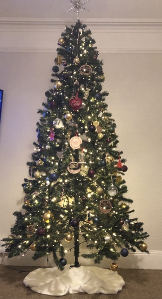 Do we have a show us your tree thread yet?