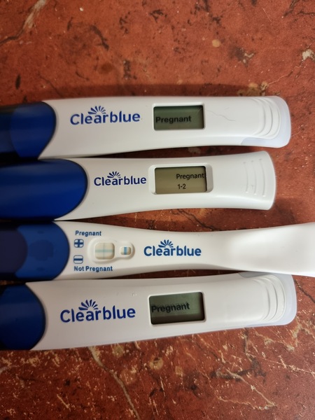 Pregnancy