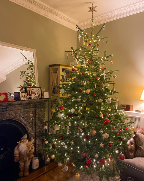 Christmas tree pics - show us your tree!