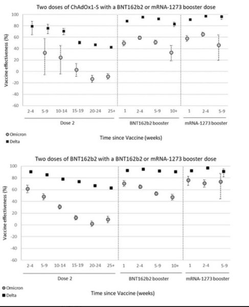 Booster protection wanes after 10 weeks against omicron….