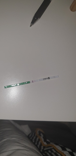 16dpo