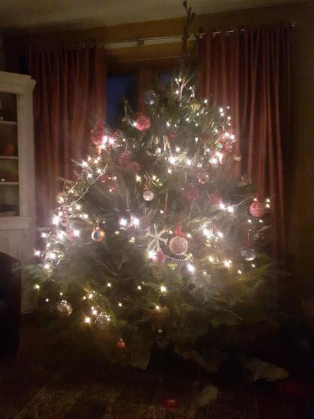 Christmas tree disaster