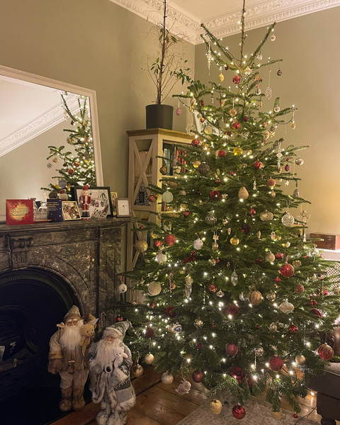 Do we have a show us your tree thread yet?